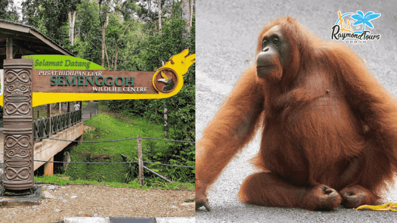 RT-sarawak_tour_guide